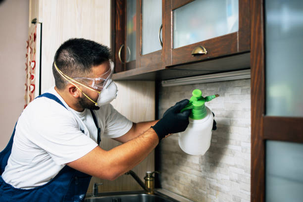Best Cockroach Control Services  in Tchula, MS