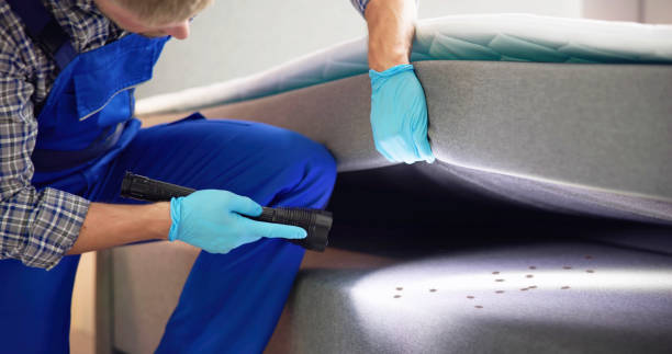 Best Local Pest Control Services  in Tchula, MS