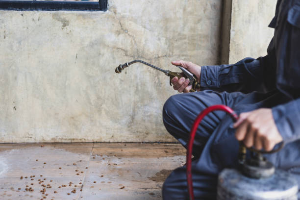 Best Pest Inspection Near Me  in Tchula, MS